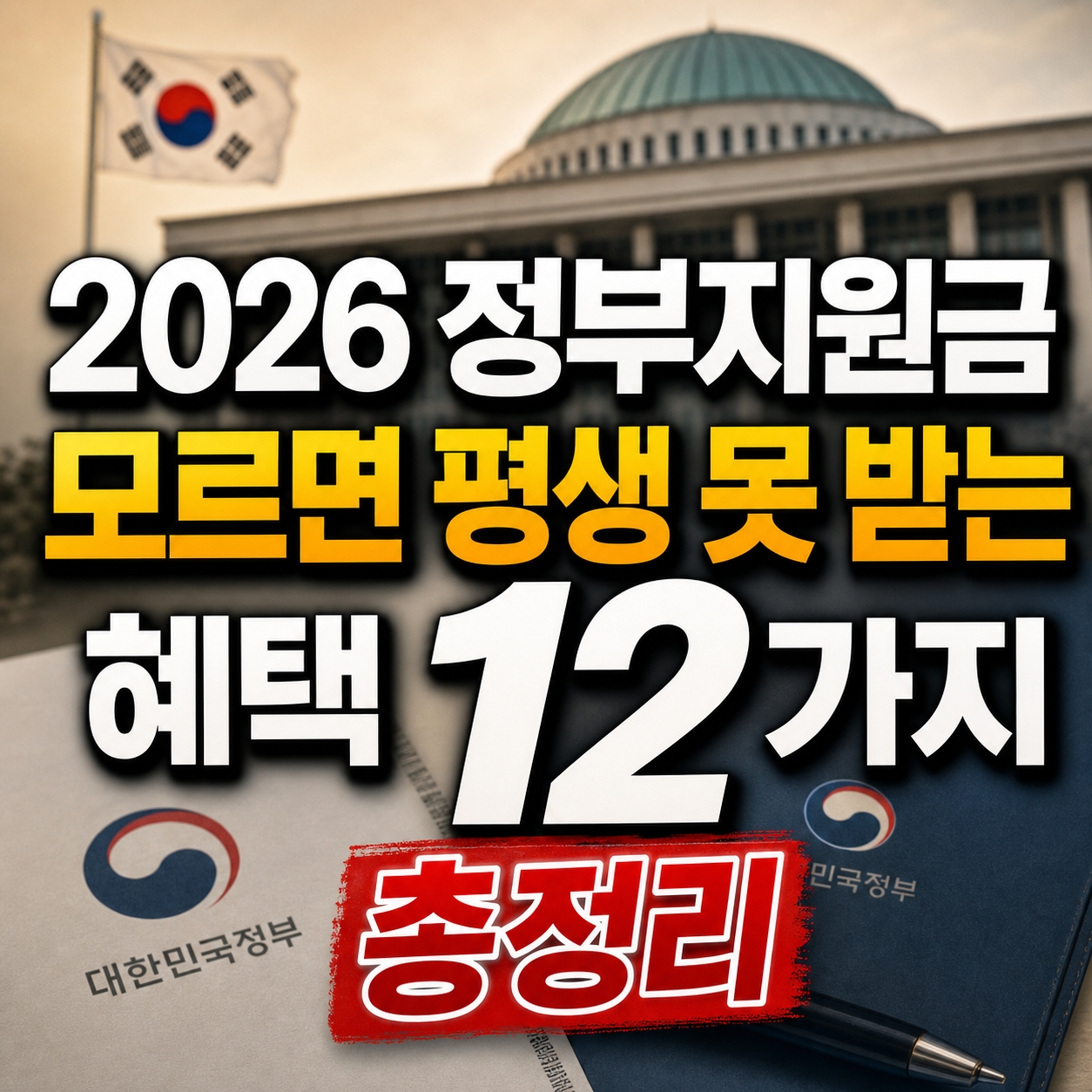 정부지원금 12