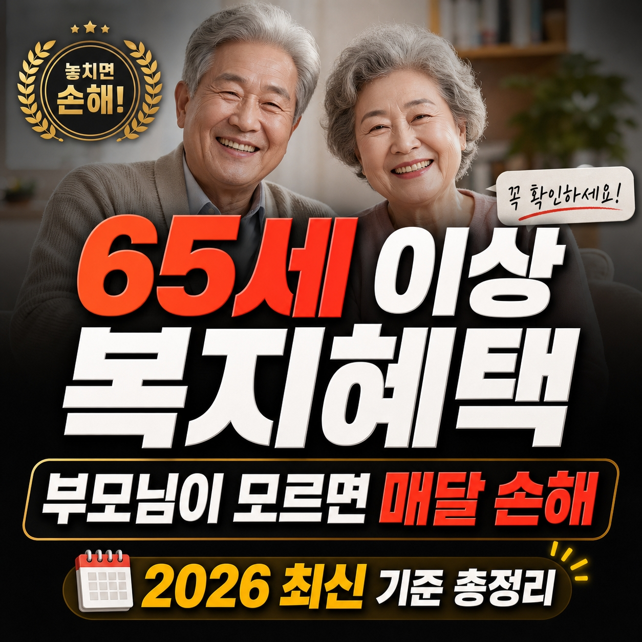 65세 이상 복지